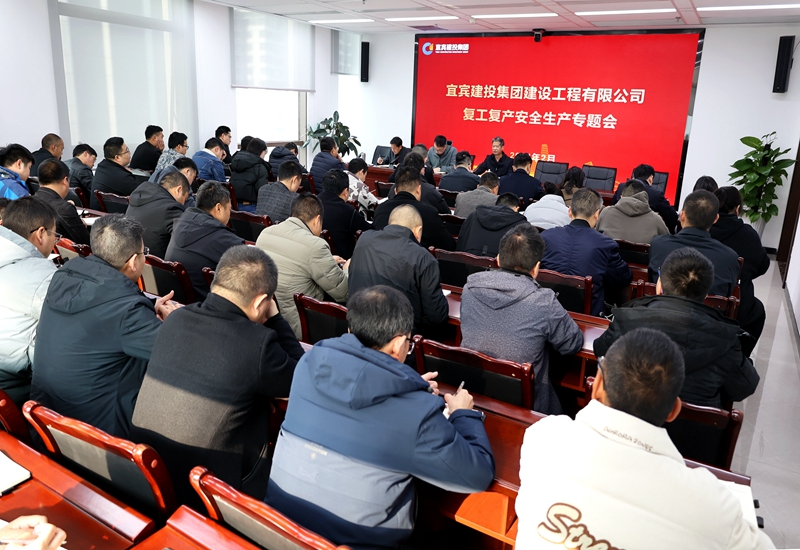 復工復產(chǎn)工作會 (3).JPG