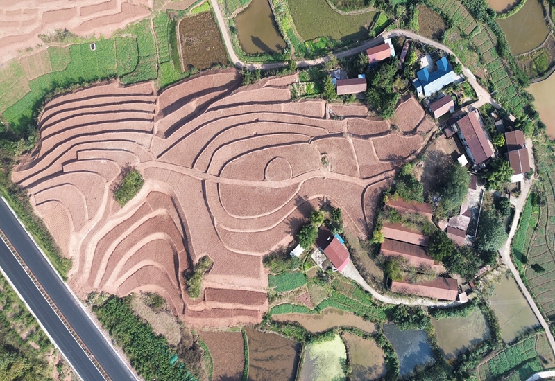翠屏區(qū)高標(biāo)準(zhǔn)農(nóng)田建設(shè)項(xiàng)目1.jpg