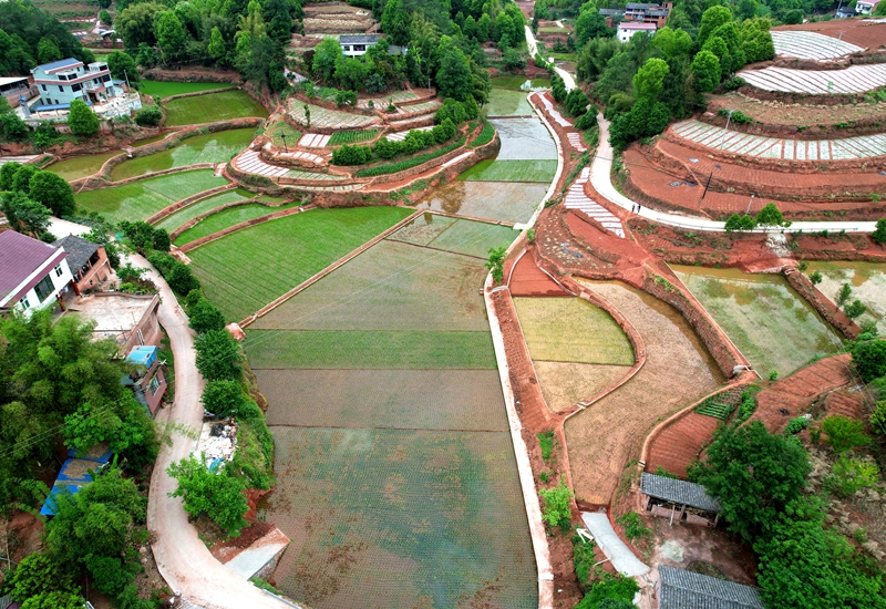 江安縣高標(biāo)準(zhǔn)農(nóng)田建設(shè)項(xiàng)目.jpg