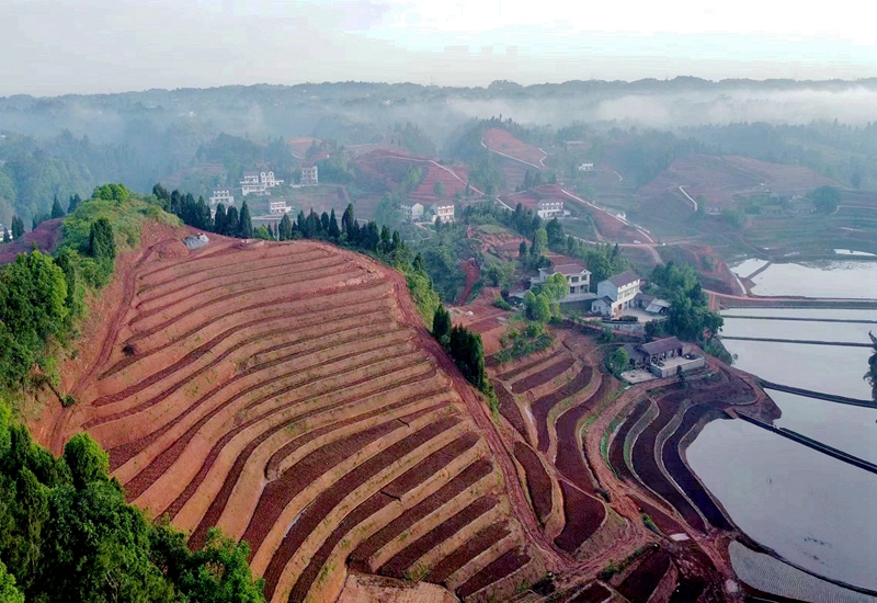 屏山縣高標(biāo)準(zhǔn)農(nóng)田建設(shè).jpg