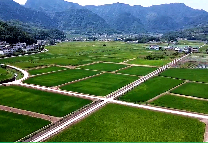 興文縣高標(biāo)準(zhǔn)農(nóng)田項(xiàng)目 (1).png