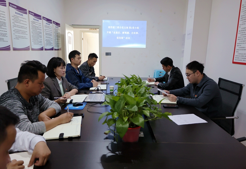 黨小組走基層解決問題 (1).JPG