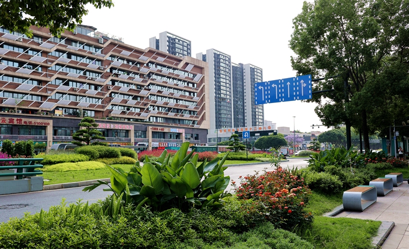 宜賓內(nèi)環(huán)線綠化景觀工程 (2).JPG