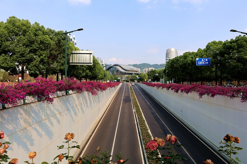 宜賓內(nèi)環(huán)線綠化景觀工程 (6).JPG