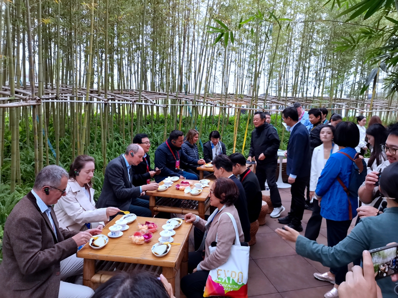 沉浸試體驗，國際園藝生產者協(xié)會到宜賓展園評比打分 (4).jpg
