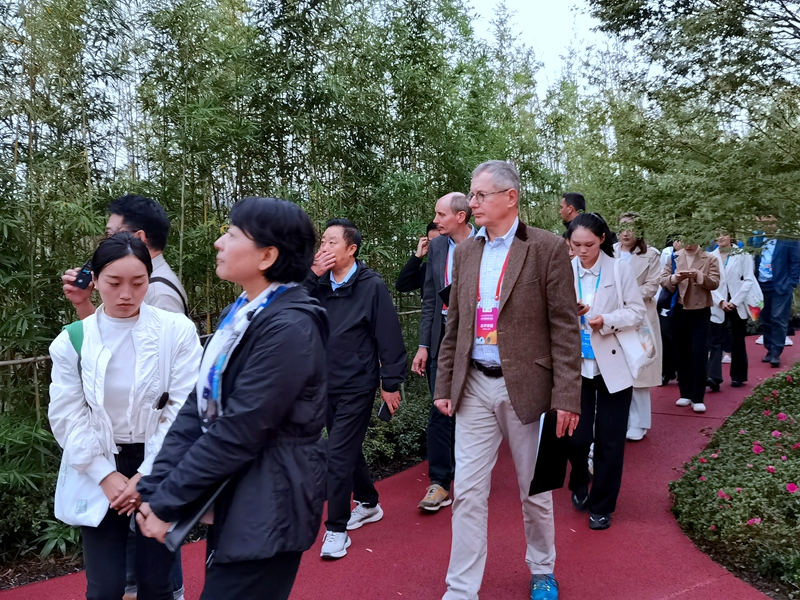 沉浸試體驗，國際園藝生產者協(xié)會到宜賓展園評比打分 (1).jpg