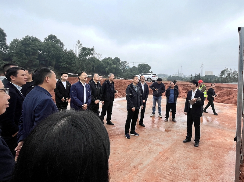中國(guó)農(nóng)業(yè)發(fā)展銀行總行專家委員會(huì)到敘州區(qū)土地綜合整治項(xiàng)目作資金專項(xiàng)調(diào)研 (1).jpg