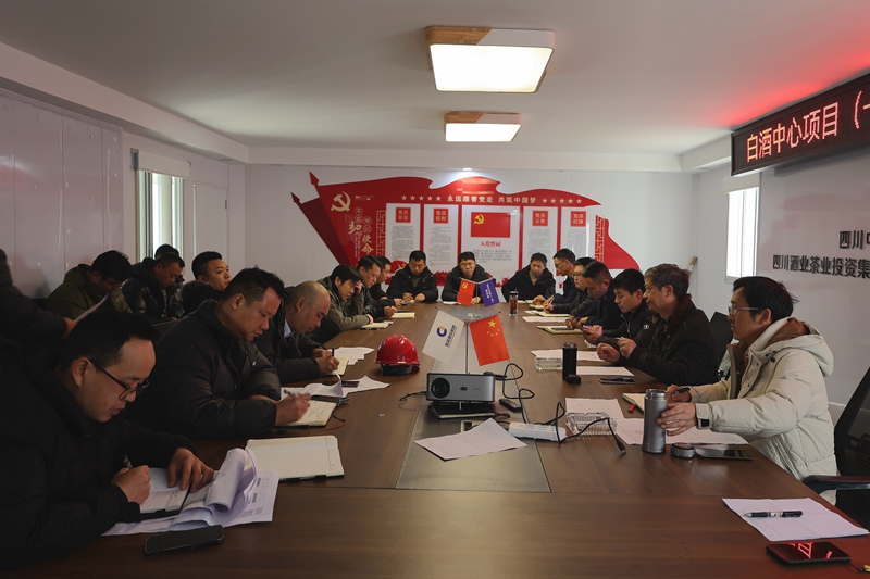 建投建工到白酒中心（一期）項目開展節(jié)后復工復產工作督查 (3).JPG